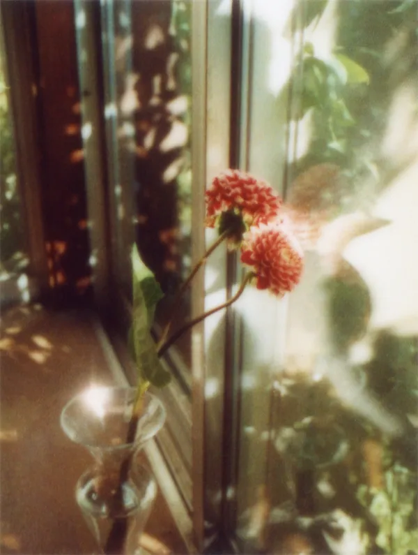 flowers_030.jpg