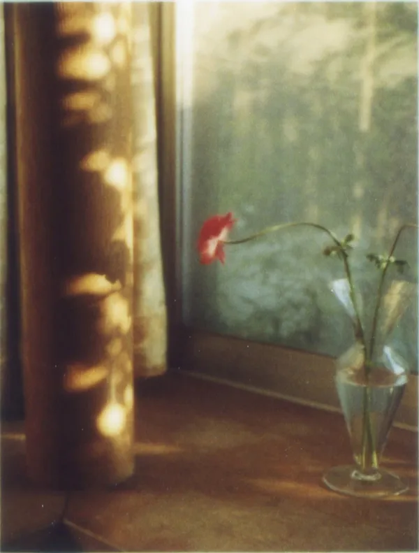 flowers_132.jpg