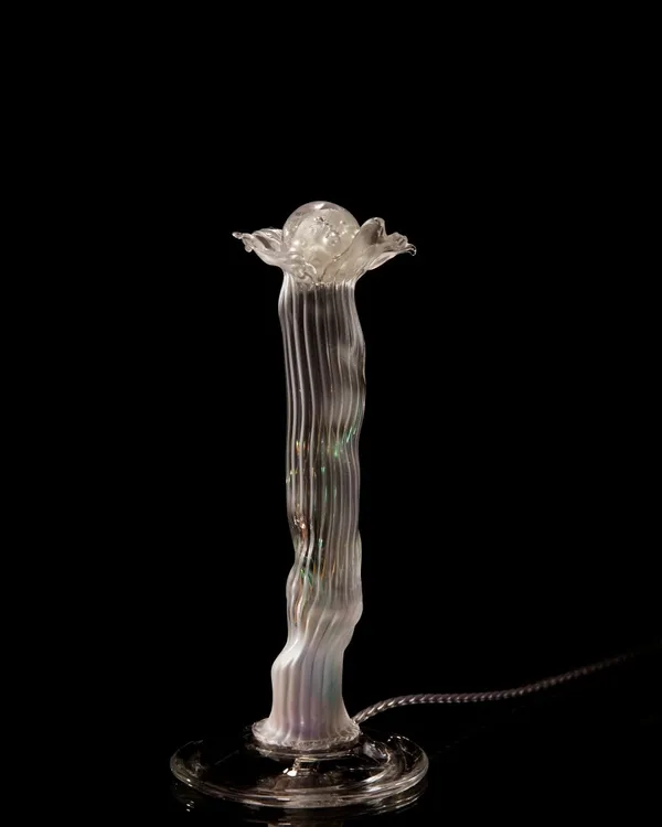 Hayne Park_Nematostella Series_height 31cm_glass, 