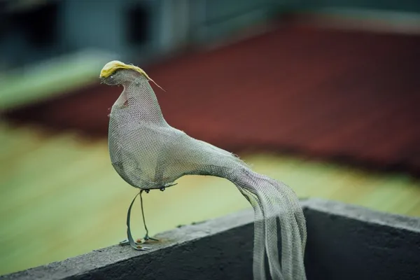 伊日黃禹銘_DSC_7878.jpg