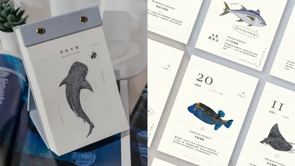 《漫遊者號》海洋生物日曆！5 位台灣插畫家手繪，精緻呈現白鯨、赤蠵龜等 365 個物種小秘密
