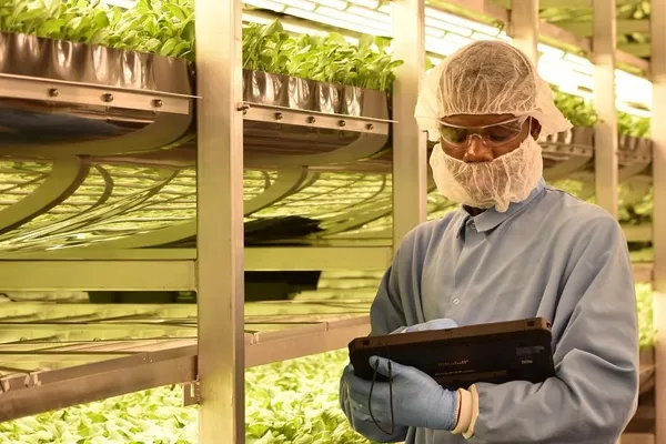 未來若要吃飽，我們就需要AgTech！美國新創如何靠AI與生物科技實踐永續農業？ 