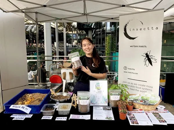 昆蟲也能做成半導體！新創Insectta用昆蟲實踐永續經濟，扭轉負面印象 