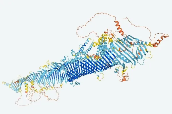 果蠅蛋白質