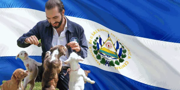 El Salvador）