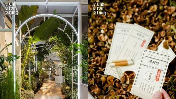 茶籽堂「大地癒所」特展松菸登場！土地的祝福等 4 大主題展區亮點、七色光譜新環保瓶身亮相