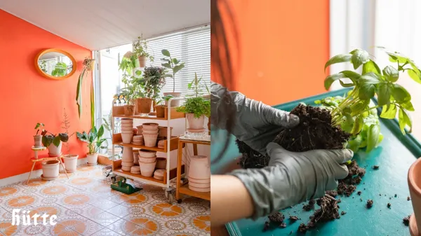跟上園藝風潮！ URBAN RESEARCH 聯手台北植栽圈最炙手可熱「hütte 棚屋」打造質感生活店中店