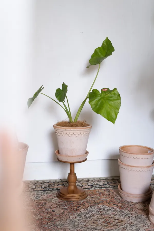 urbanresearch-hutte棚屋販售商品.jpg