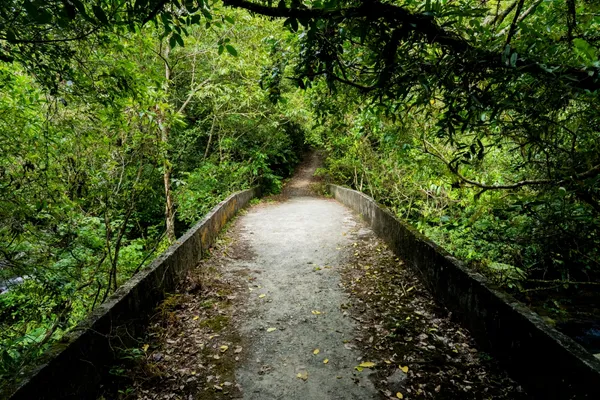 探索礁溪跑馬古道踏查.jpg