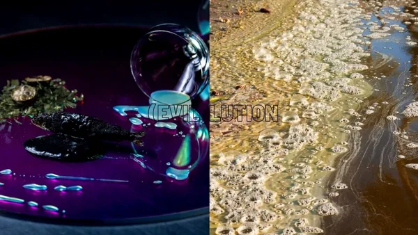 ROOM_5.Water Pollution 水源污染.jpg