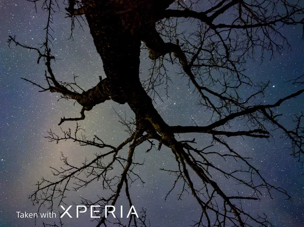SONY Xperia PRO-I實拍照