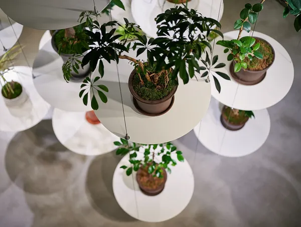 NOSIGNER REN 植栽店 06.jpg