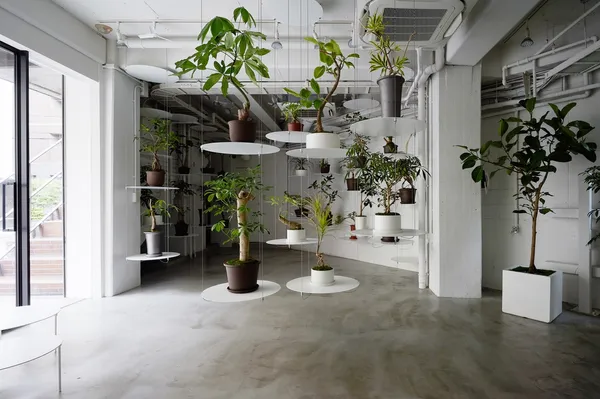 NOSIGNER REN 植栽店 02.jpg