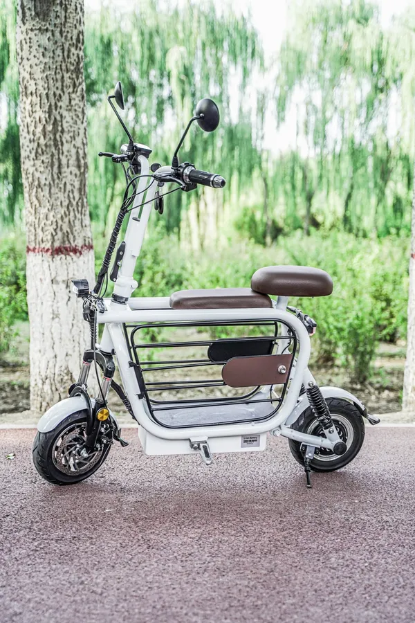 Mopet 寵物電動車 05.jpg