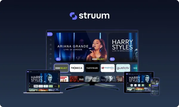 如何與Disney+、Netflix競爭？新創Struum推集合式平台，將有什麼優勢？ 