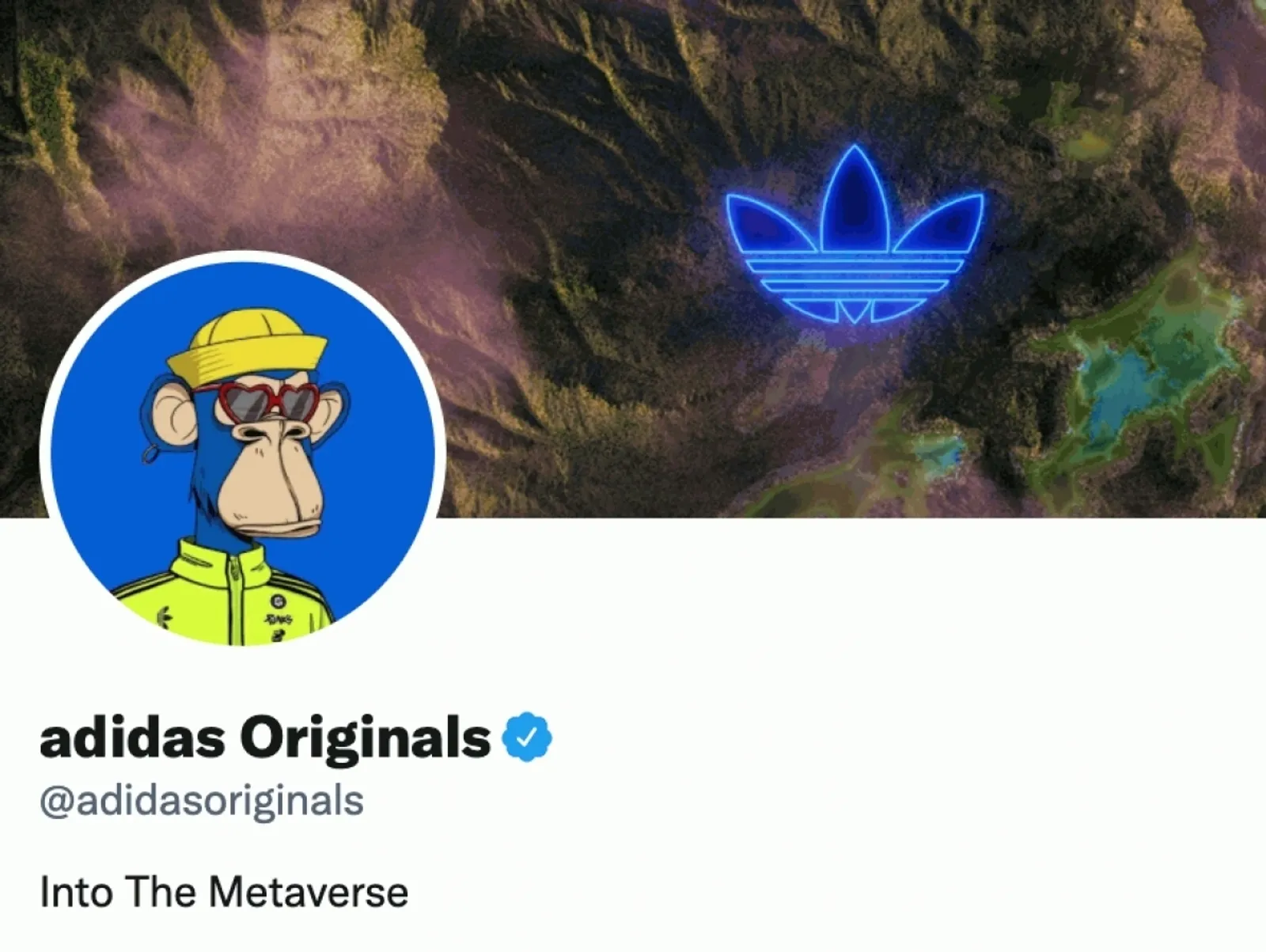 連Adidas 都合作！「無聊猿」NFT 如何靠社群與應用爆紅全球？｜未來商務