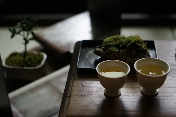 盧怡安