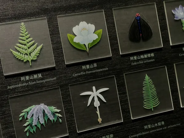 記憶 阿里山-阿里山林業暨鐵道特展.jpg