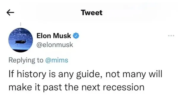 Elon Musk Twit