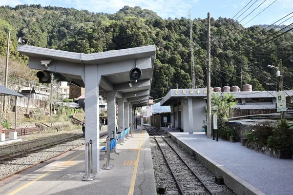 嘉義「奮起湖車站」改造亮點！自然生態化、管線藝術、減法設計，將鐵道風貌回歸自然群山