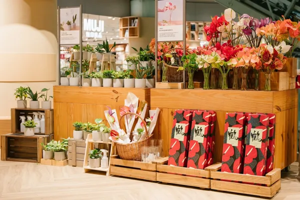 MUJI無印良品美麗華旗艦店-亮點10樂土盆栽01.jpg