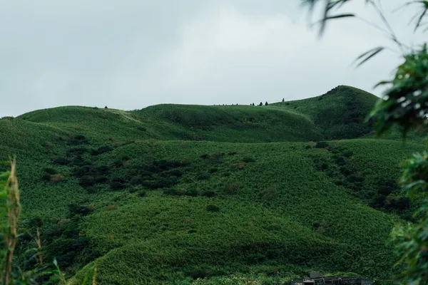 格子_DSC_5569.jpg