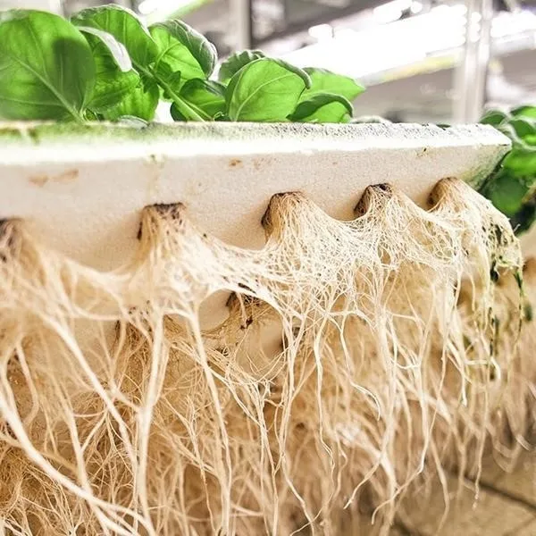 BoweryFarmingInc