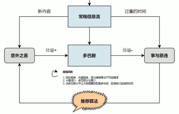 渴望刺激的大腦