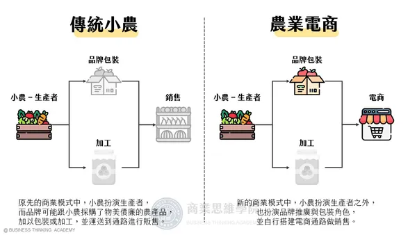 傳統小農轉變產業鏈上角色