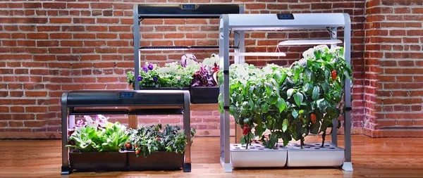 AeroGarden-Farm