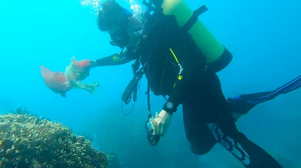 比西里岸文化促進會_淨海3.jpg