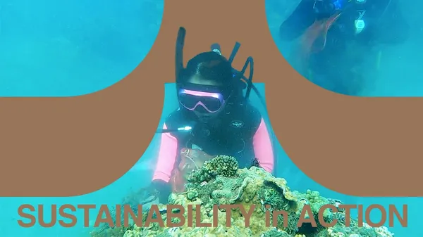 比西里岸文化教育促進會：在地青年化身淨海潛水員，成就守護珊瑚礁與海洋的力量，喚起社區的愛海意識和行動