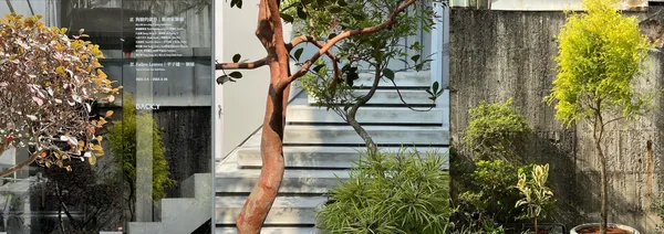 伊日後樂園 BACK_Y融入植物語彙，打造向自然敞開的「藝術系庭園」.jpg