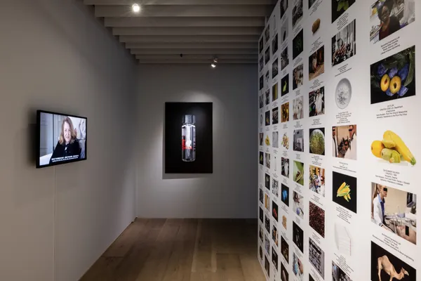 Lynn Hershman Leeson作品〈無限引擎〉 © 忠泰美術館 (1)