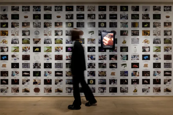 Lynn Hershman Leeson作品〈無限引擎〉 © 忠泰美術館 