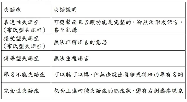 失語症種類