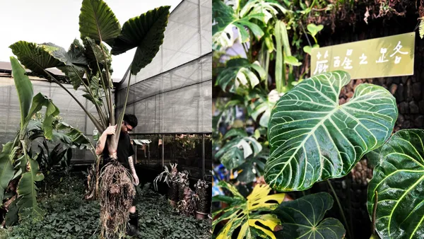 只有 3 天！大型植物展覽市集「台灣第一植物界」松菸登場，集結近60家植物質感品牌、5場專業講座
