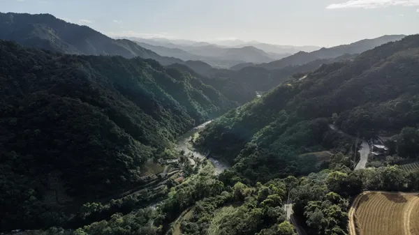 「茶山繚療」採集自坪林的苔蕨杉林、溪流為地景、羽族群獸的自然特色 02（新北市政府文化局提供）.jp