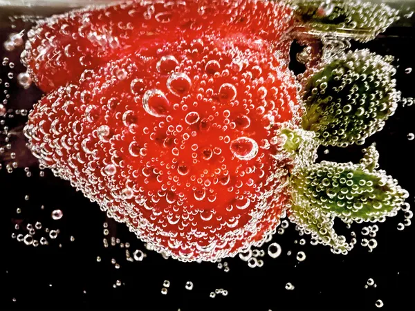 蘋果微距攝影-Apple-Shot-on-iPhone-macro-Ashley-Lee.jpg