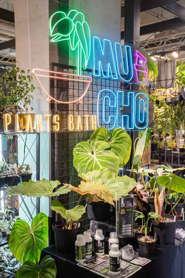 第三屆台灣第一植物界開展！精選台灣60間質感植物品牌進駐-1.jpg