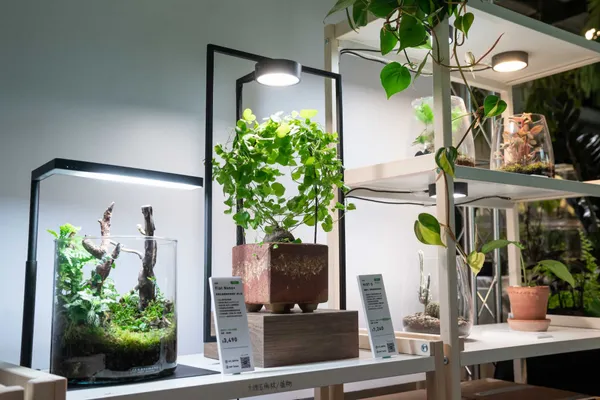 2015年成立的新水族、植物燈具台灣品牌ONF，致力開發設計感與光學品質兼具的產品-2.jpg