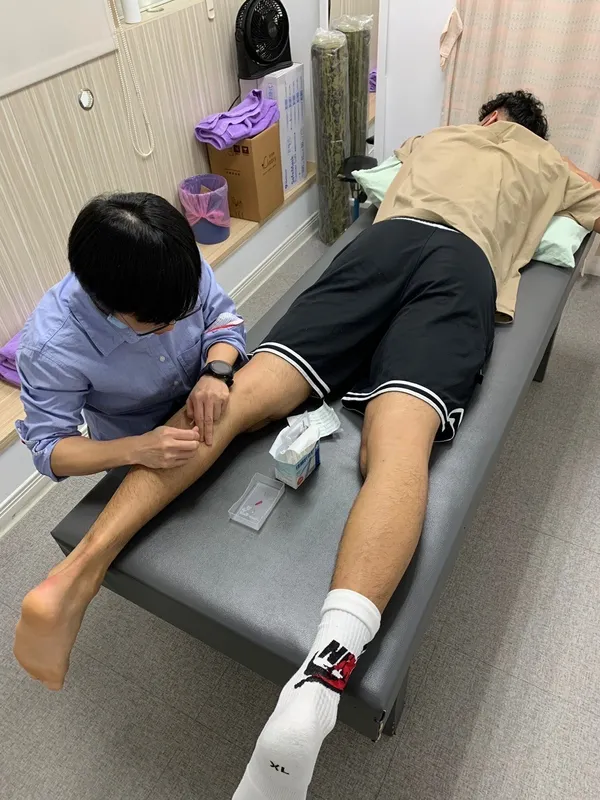 政大雄鷹防護治療