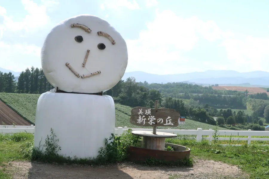 日本邊境管控將鬆綁！外國觀光團6月可赴日旅遊，前提為日本境內疫情得受控