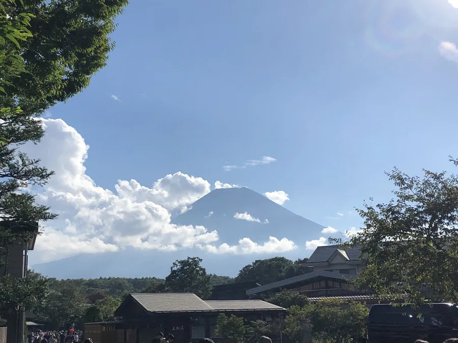 日本觀光開放有望！旅遊業者樂觀超前部署：營收將至少恢復疫情前4成