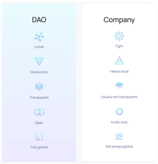 DAO company