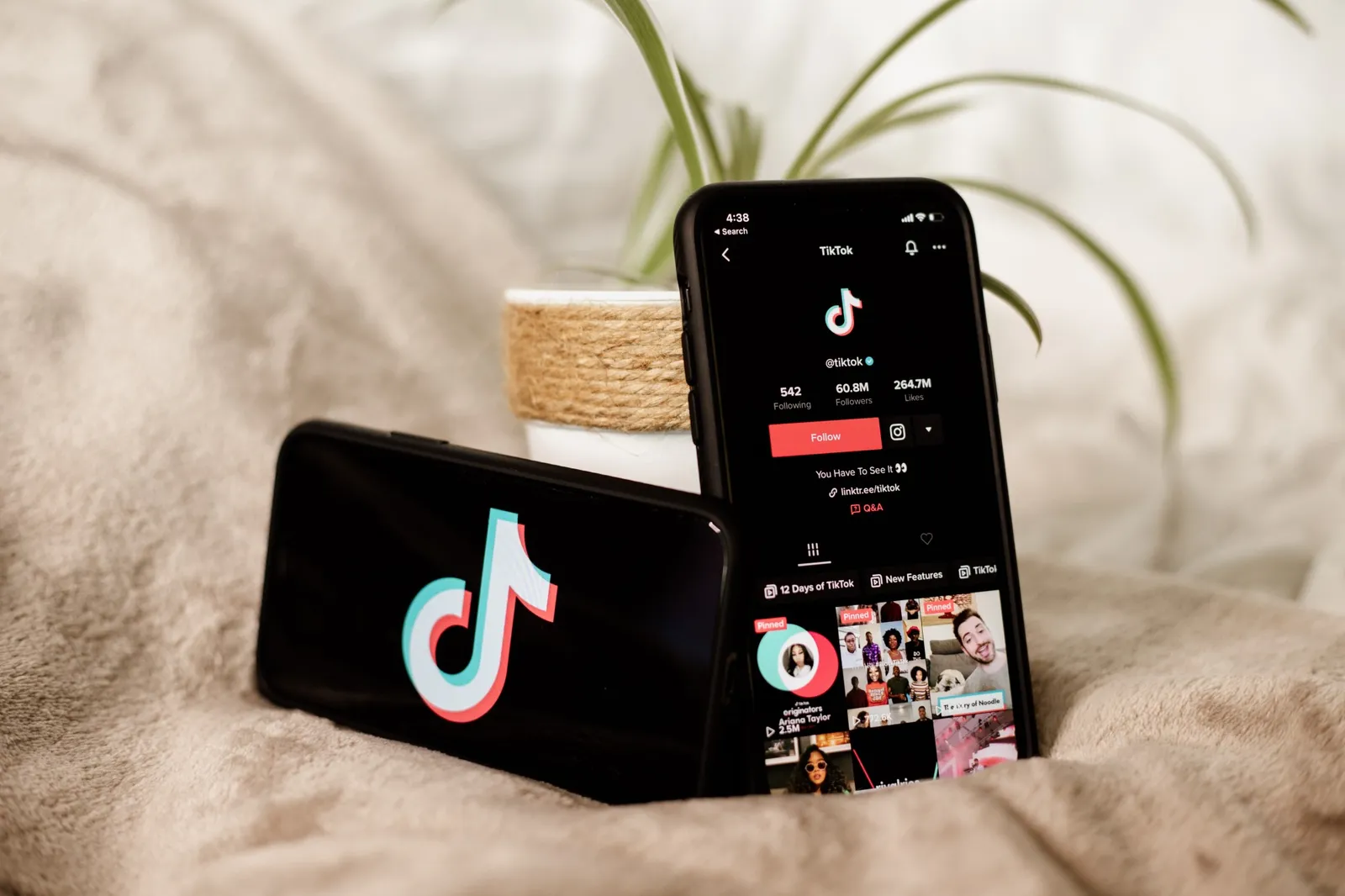 TikTok 在台使用率穩定上升中，品牌如何在其創作者平台找尋合作機會？