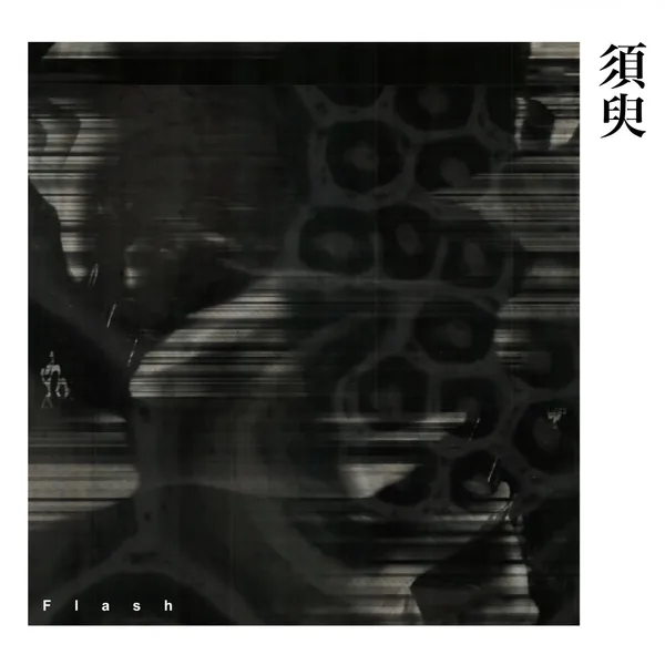 光音展2
