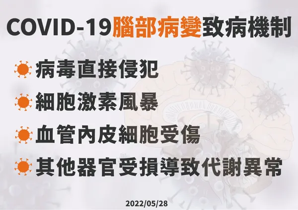 0528COVID-19腦部病變致病機制-01.jpg