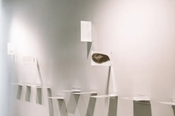 《倚光寓影—吳孟璋個展》09