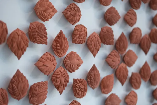 《複殖亞綱》 Aeviternum, 2022, 粉漿澆鑄赤陶 terracotta, slip-c